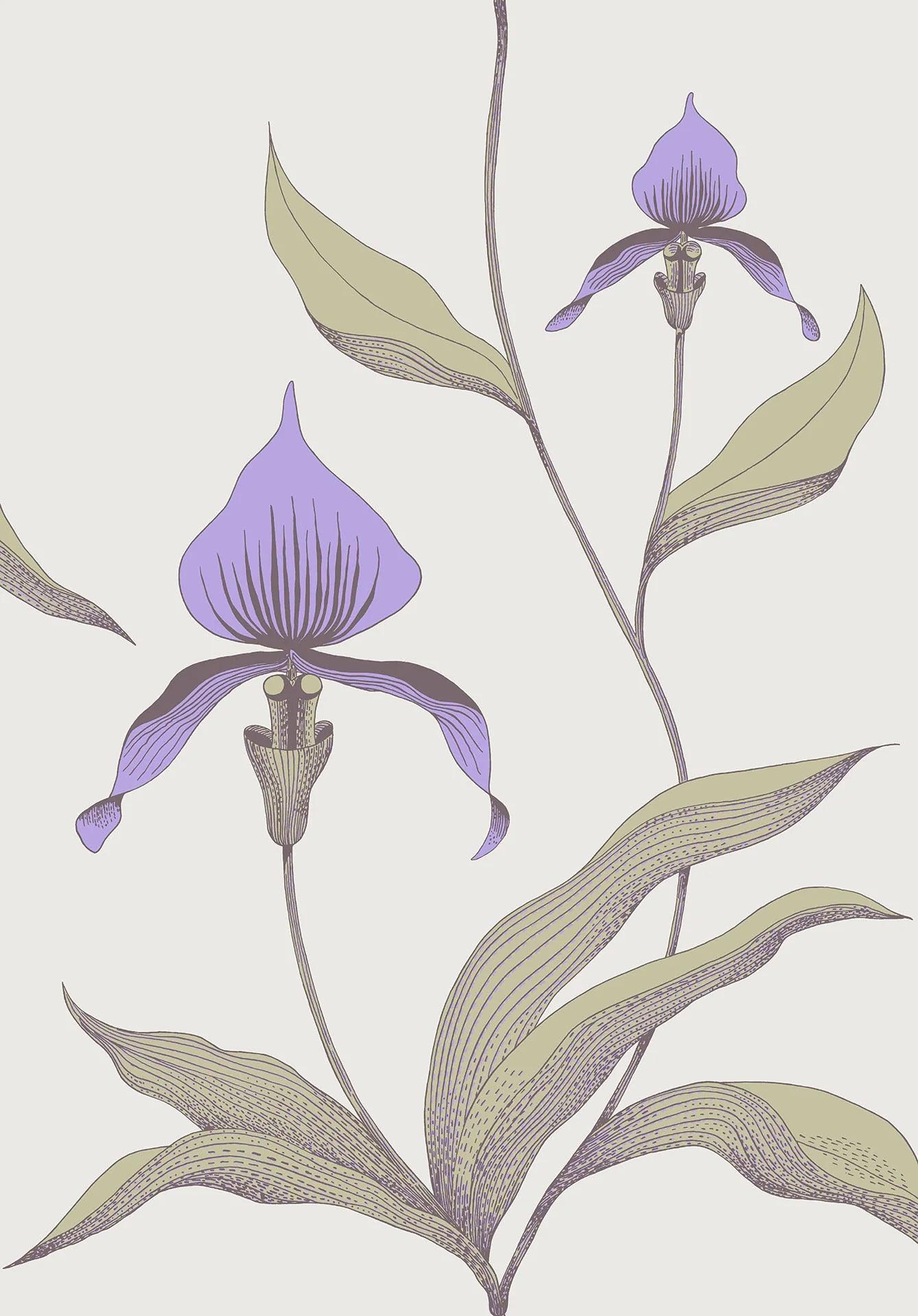 Tapeta CONTEMPORARY COLLECTION - Orchid Cole & Son Liliowy i oliwkowy na jasnej zieleni   Eye on Design