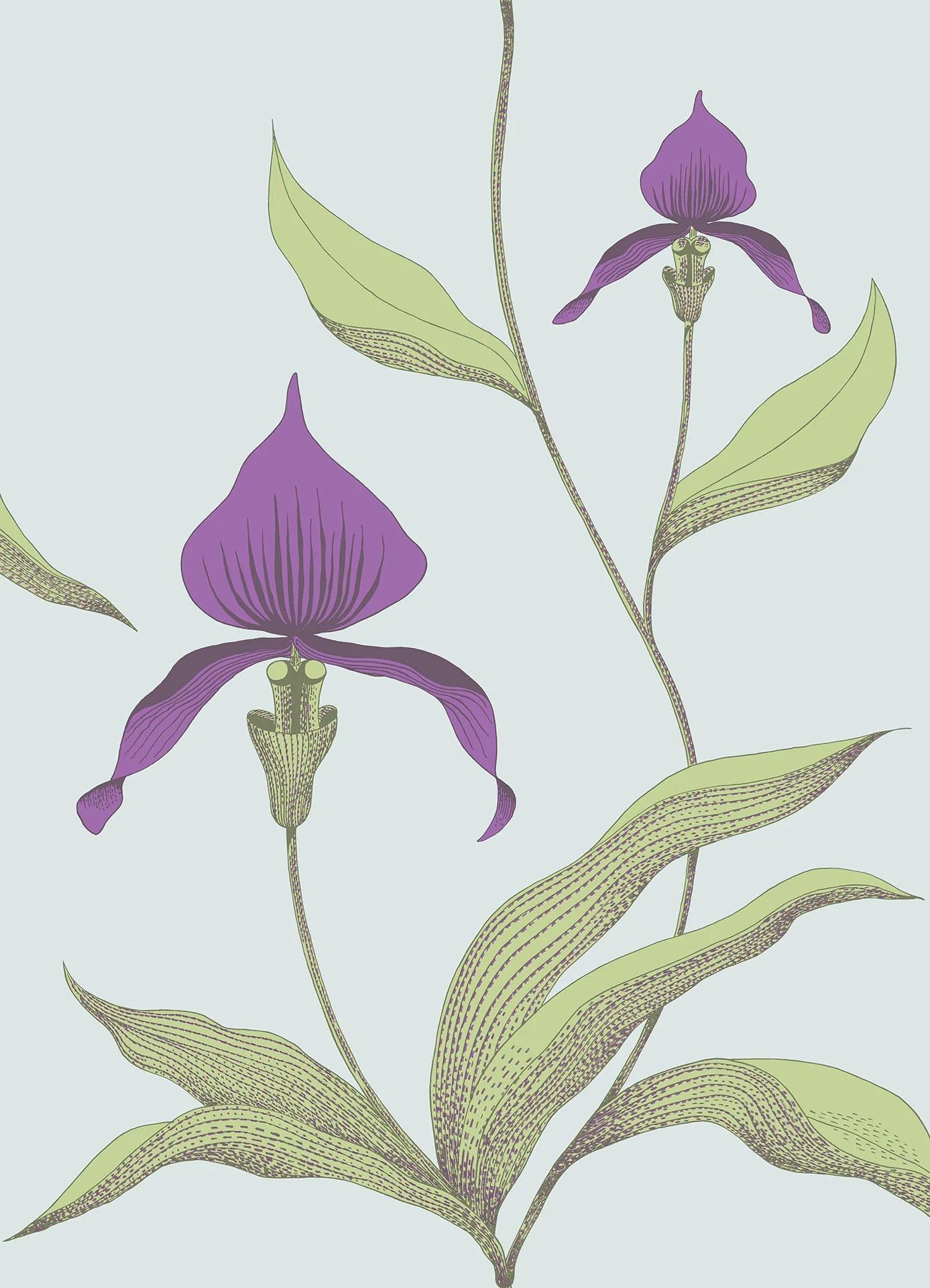 Tapeta CONTEMPORARY COLLECTION - Orchid Cole & Son Fioletowy i zielony na piance morskiej   Eye on Design