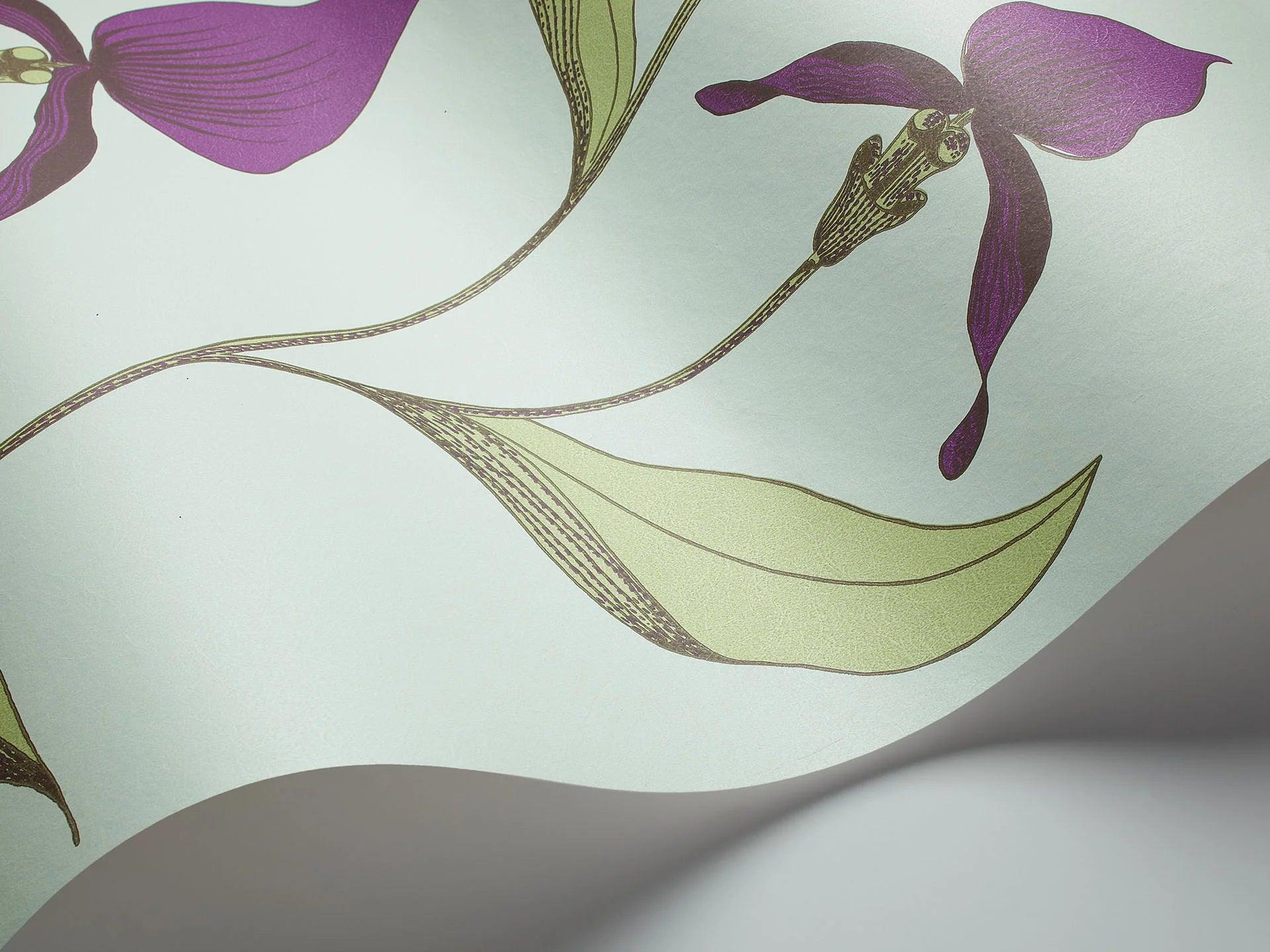 Tapeta CONTEMPORARY COLLECTION - Orchid Cole & Son    Eye on Design