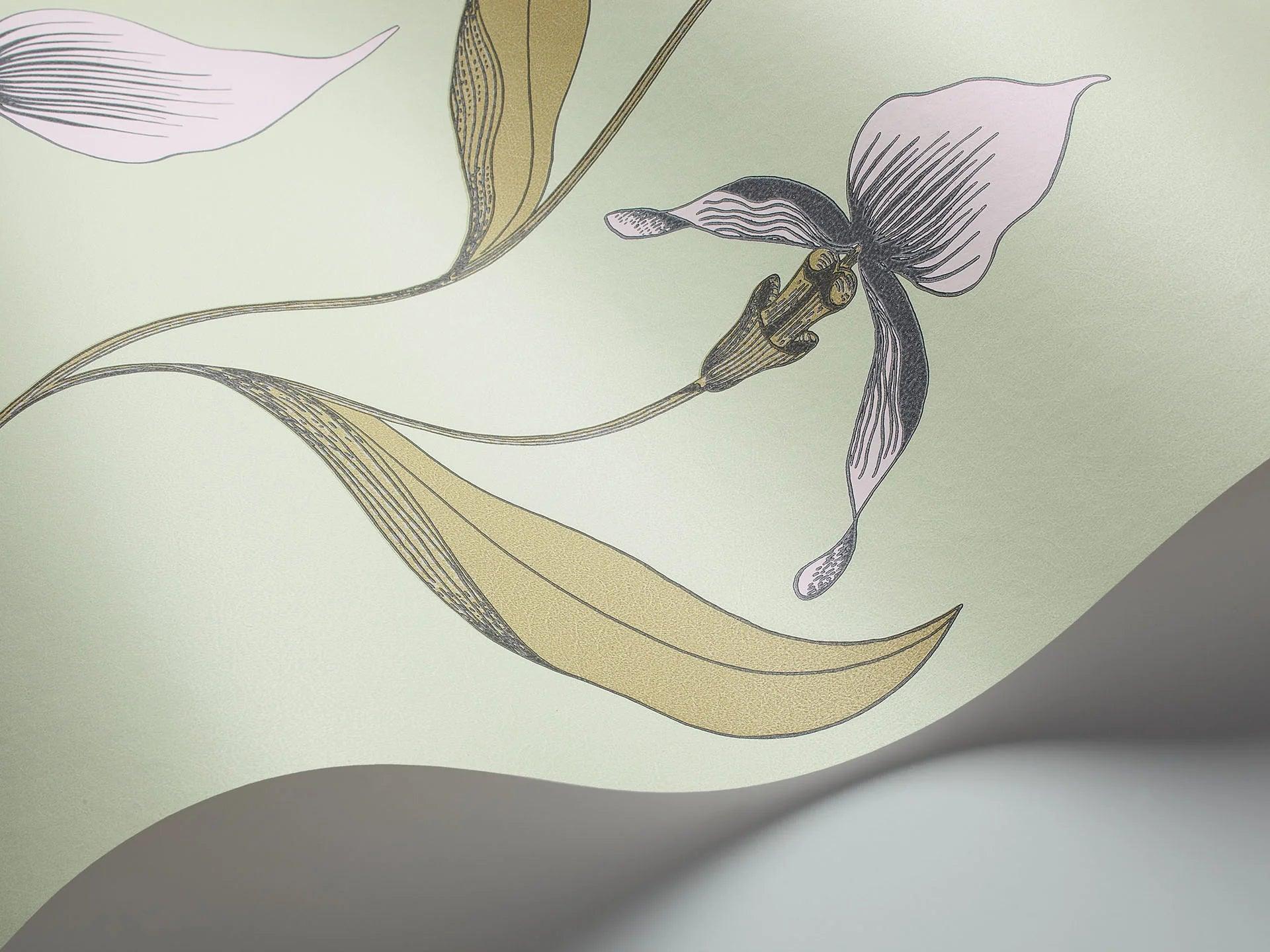 Tapeta CONTEMPORARY COLLECTION - Orchid Cole & Son    Eye on Design