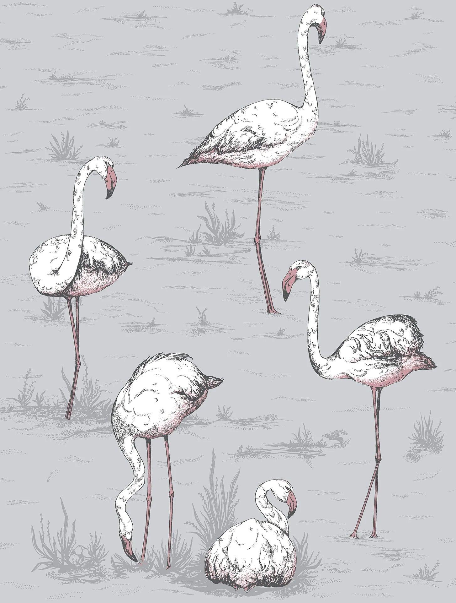 Tapeta ICONS - Flamingos niebieski Cole & Son    Eye on Design