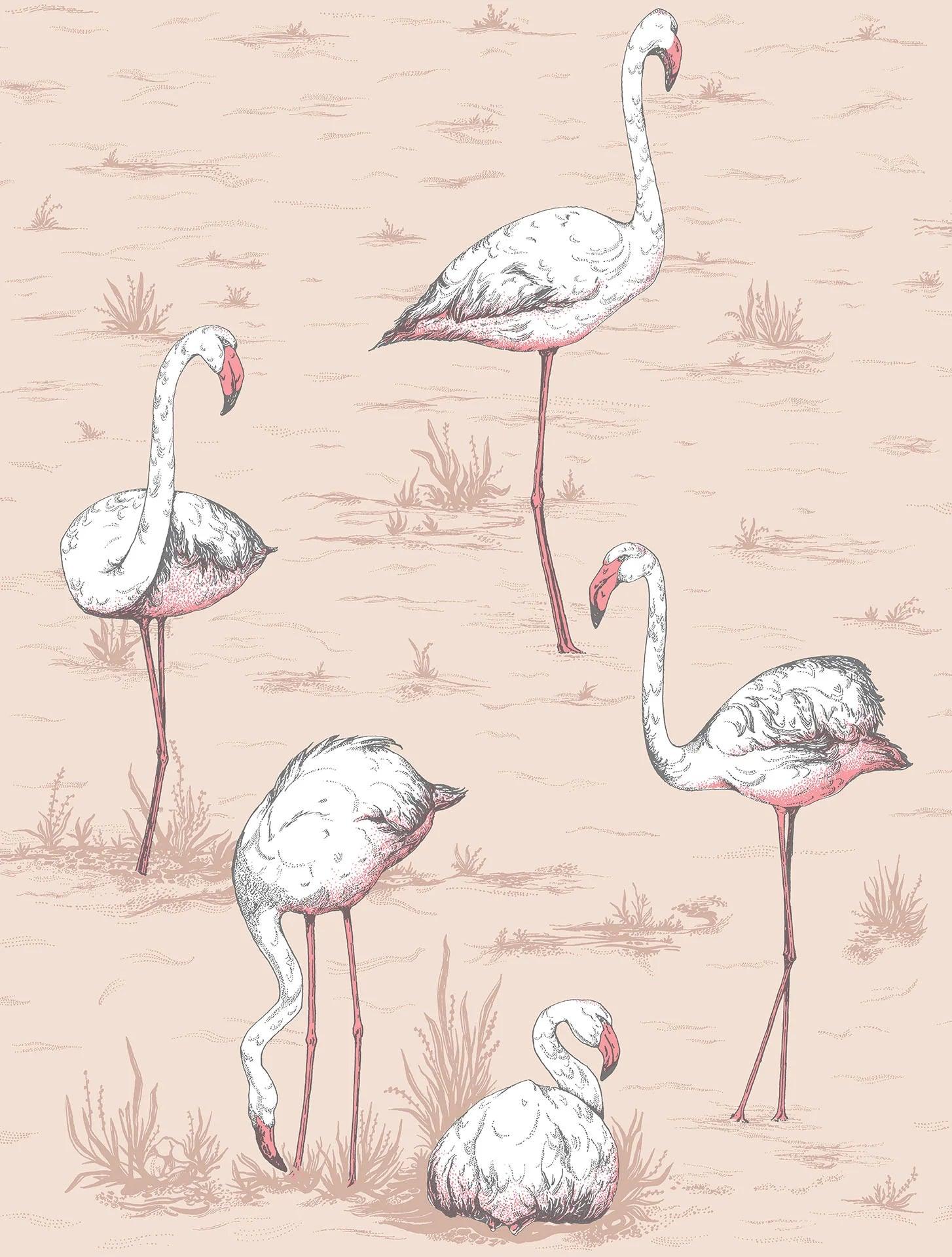 Tapeta ICONS - Flamingos różowy Cole & Son    Eye on Design