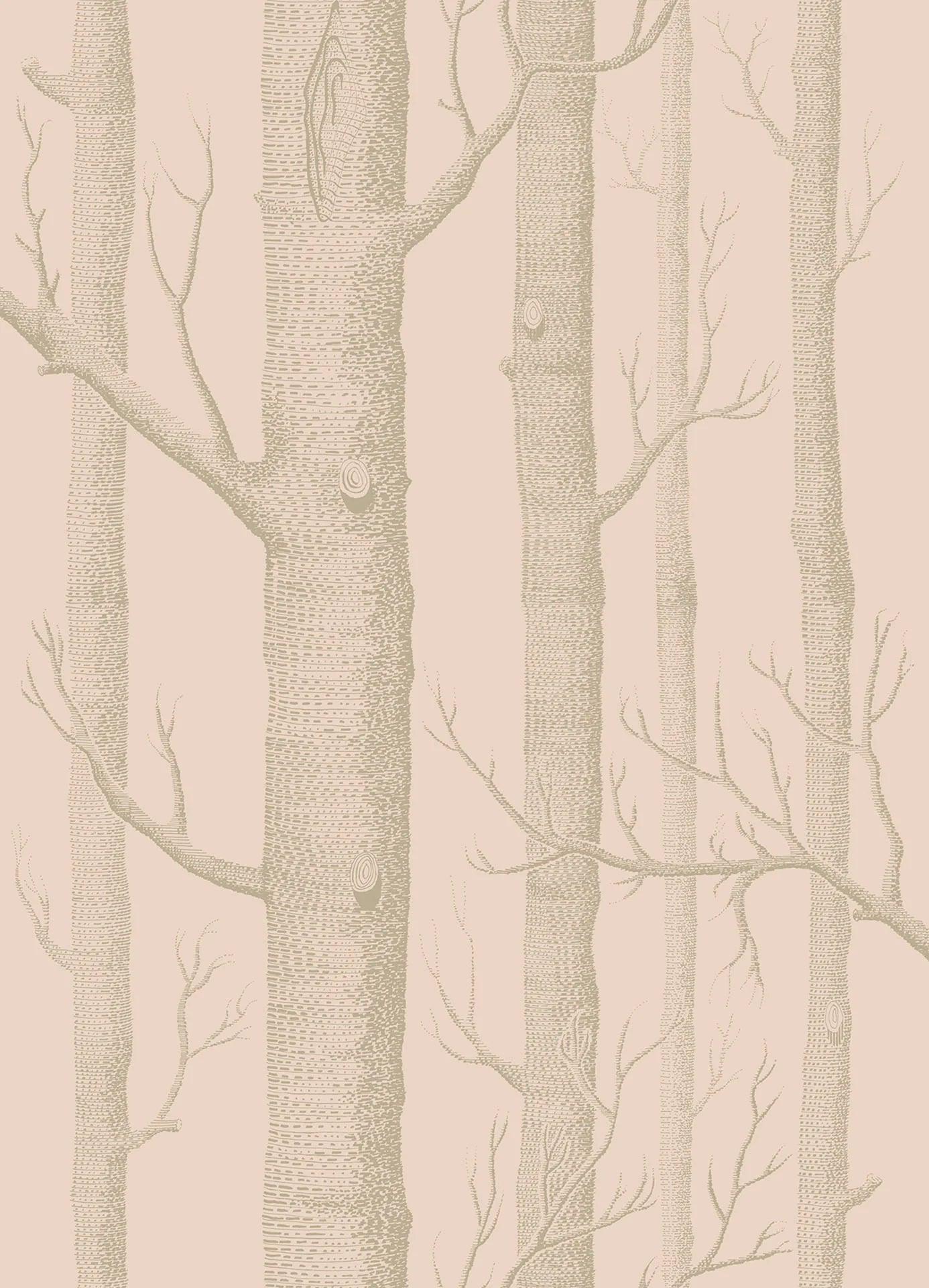 Tapeta WHIMSICAL - Woods brzoskwiniowy Cole & Son    Eye on Design