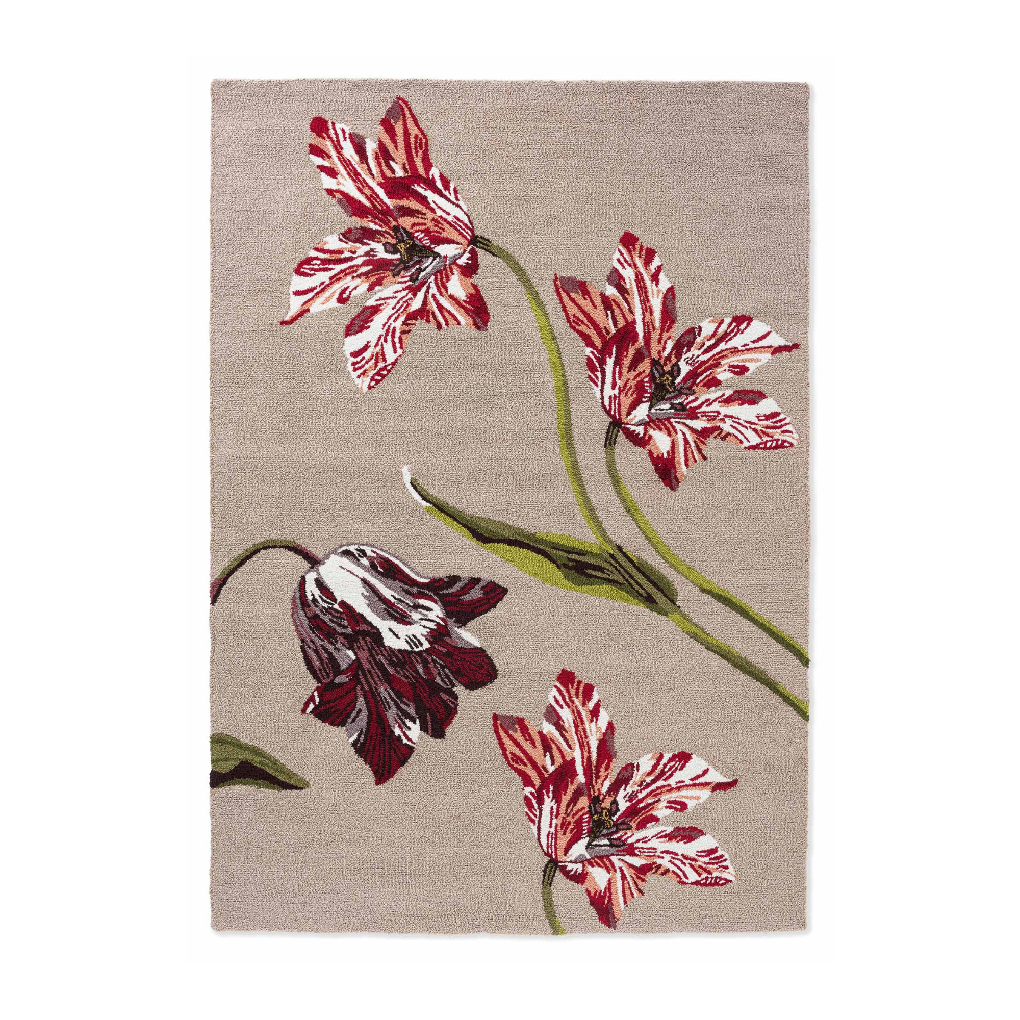 BOTANICAL TULIP BURGUNDY beige Außenteppich