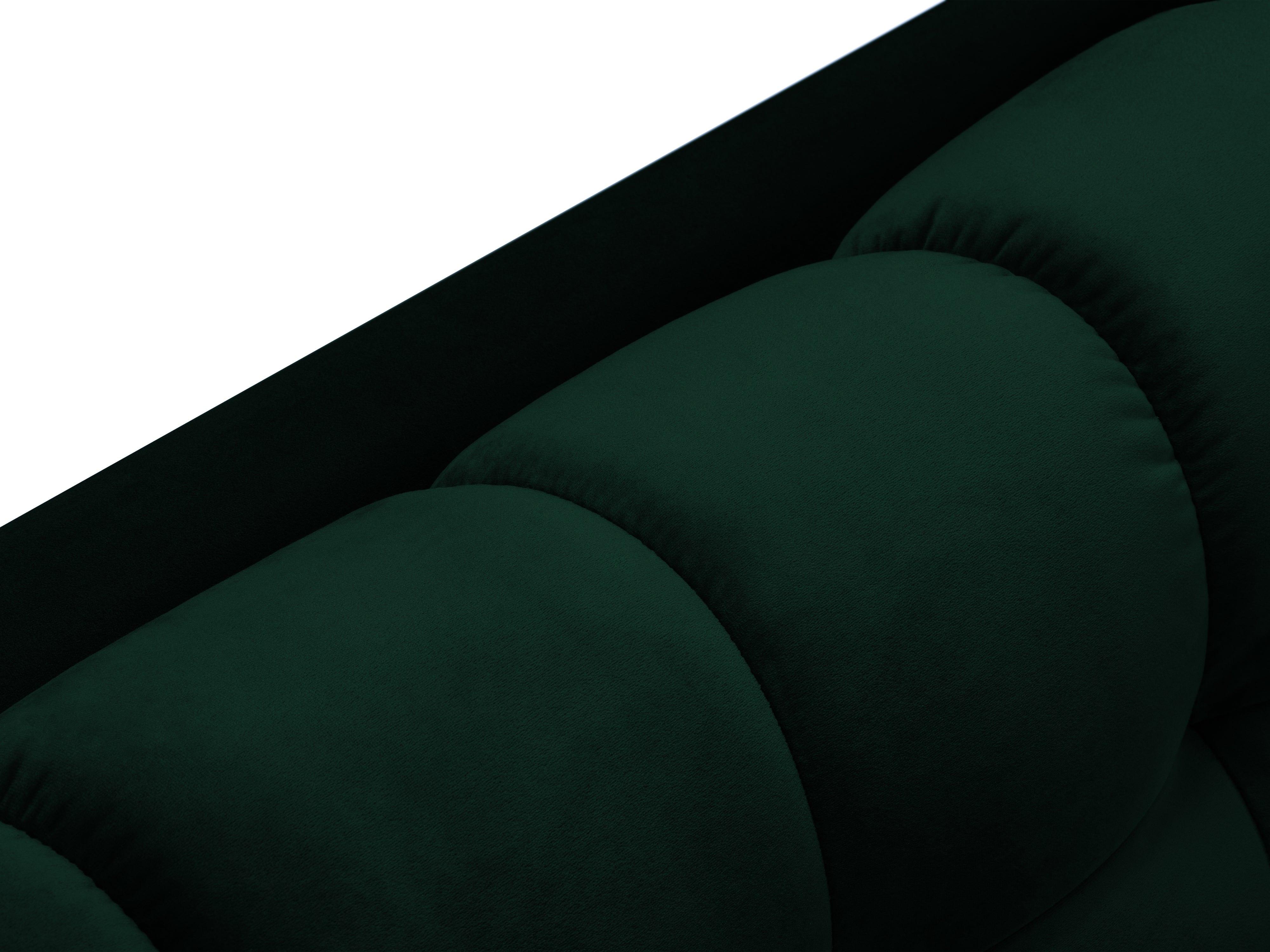 Velvet Bottle Greenery
